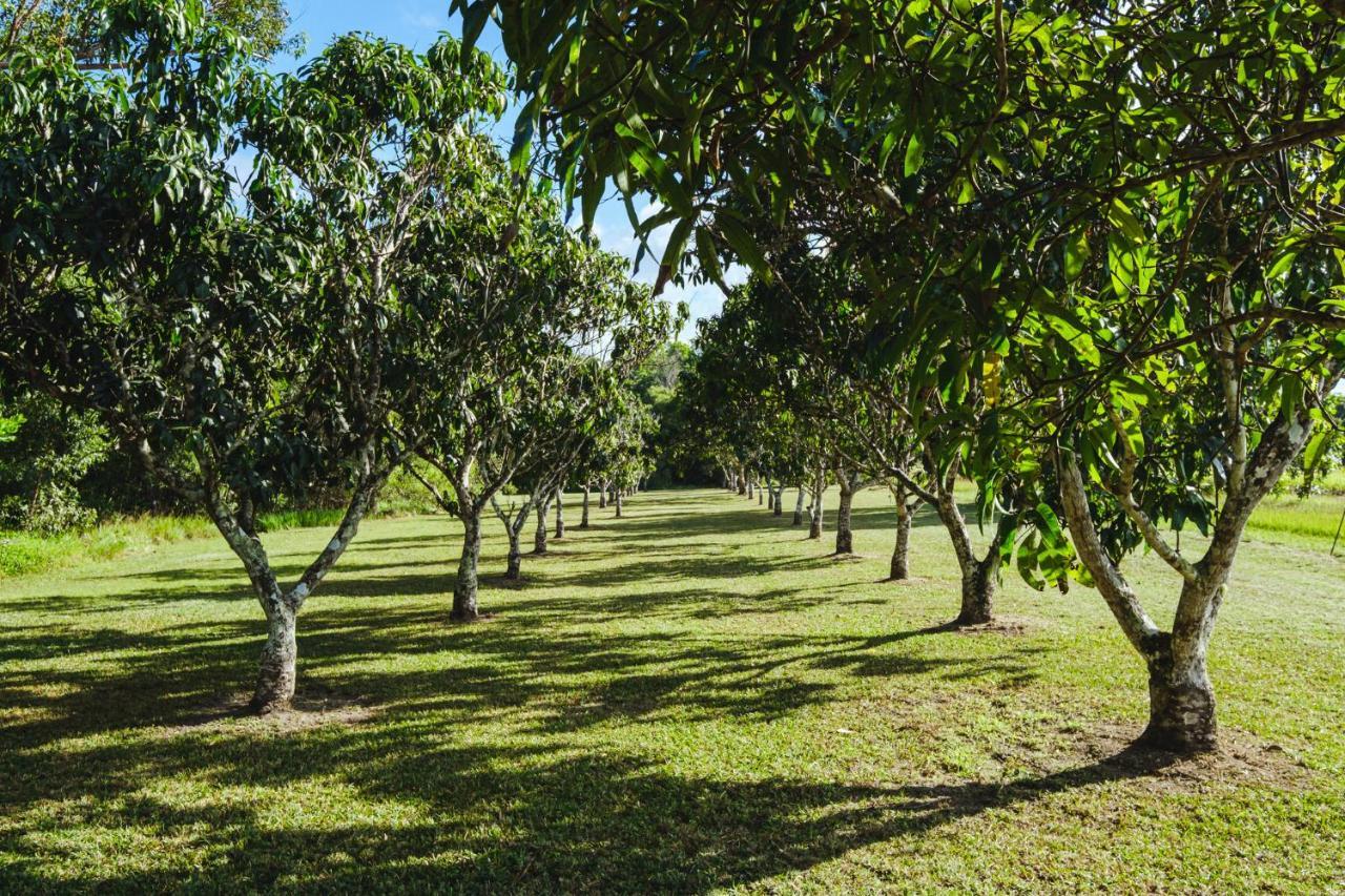 فيلا Getaways At Byfield المظهر الخارجي الصورة